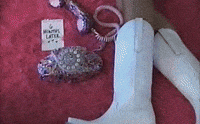 6 Months Later GIF by Megan Moroney