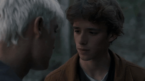 Bromance Kiss GIF by wtFOCK
