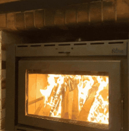 GIF animado