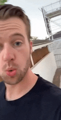 drunk dutch GIF by Vol2Cat