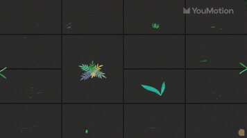 Flowers Animations
