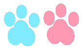 Cat Sticker Sticker by Ai and Aiko