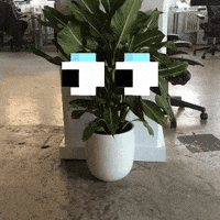googly eyes GIF by Jess