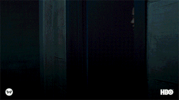 season 2 GIF by Westworld HBO