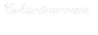 Eskuvoszervezes Szivvel-Lelekkel Sticker by TheLoveINC