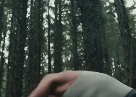 Wonder GIF by Shawn Mendes