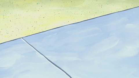 season 9 GIF by SpongeBob SquarePants