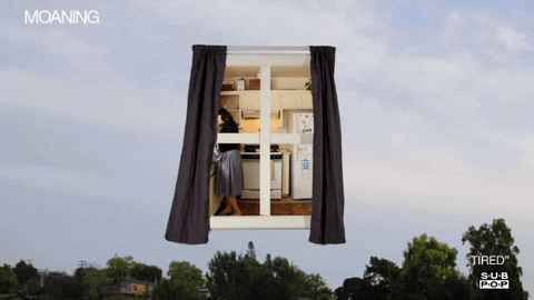 sub pop moaning GIF by Sub Pop Records