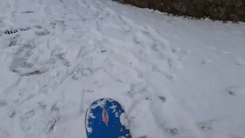 'Best Day Ever': Child Sleds Down Snow-Covered Driveway in Donegal