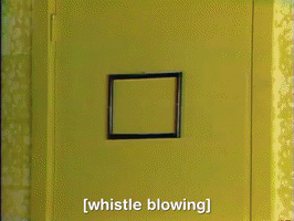 you cant do that on television splat GIF