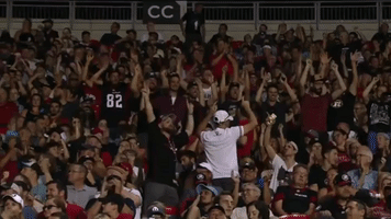 td place football GIF by Ottawa REDBLACKS