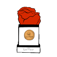 red roses rose Sticker by La Fleur Bouquets