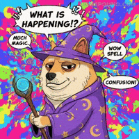 Magic What GIF by Doge Pound