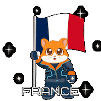 France Football Sticker by Hamieverse