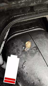 Electro Snail GIF