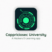 cappriciosec learning app cappriciosec cappriciosec university cappriciosecurities GIF
