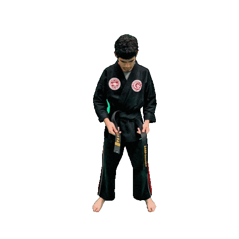 Karate Taekwondo Sticker by Team GMA
