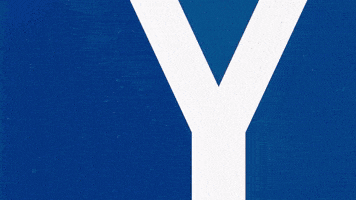 Soccer Bundesliga GIF by Karlsruher SC