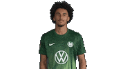 France Deal With It Sticker by VfL Wolfsburg