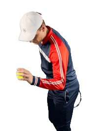 Teamnl Daviscup Sticker by KNLTB