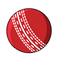 BoostEnergy football kids energy cricket Sticker