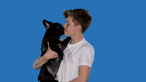 Puppy Love Fiym GIF by Forever In Your Mind