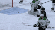 Celebrate Ice Hockey GIF by NHL