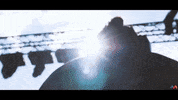 hfxmosaicfest music summer sun dj GIF