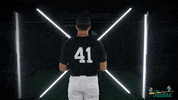 Tulane Rollwave GIF by GreenWave