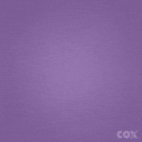 disney princess love GIF by Cox Communications