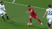 lfc watford GIF by Liverpool FC