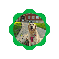 marshallucareer mu lorelai marshall university oce Sticker