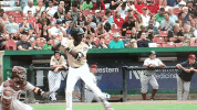 kccougars kccougars GIF