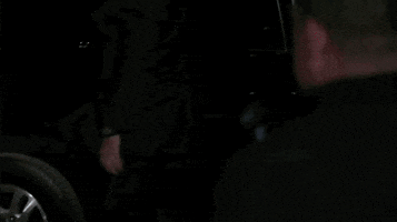 toronto international film festival tiff18_1 GIF by TIFF