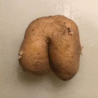 EniMation animation stopmotion enimation GIF