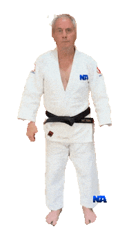 Martial Arts Thumbs Up Sticker by NA Effective Fighting