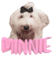 Dog Minnie Sticker