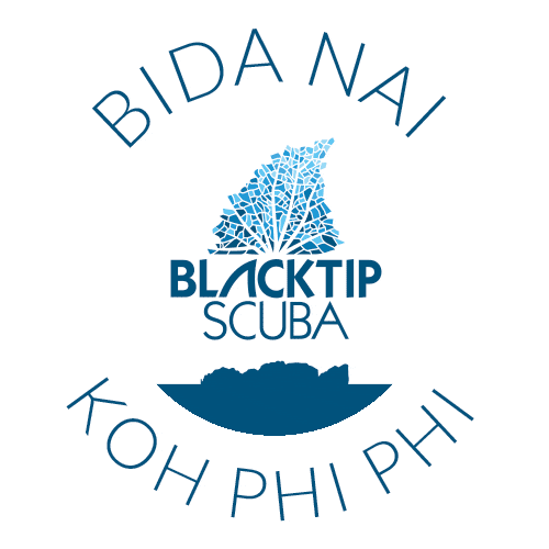 BlacktipScuba giphyupload phi phi blacktipscuba blacktip scuba Sticker
