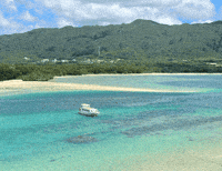 Summer Japan GIF