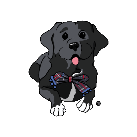 Dog Bow Sticker