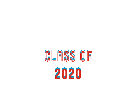 creativebusinesshu giphyupload 2020 graduation netherlands Sticker