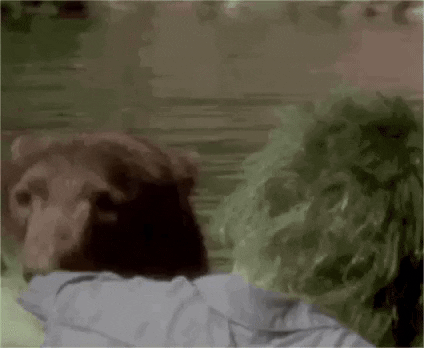ThisRoxx bear hulk thisroxx GIF