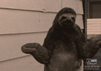 home movie what GIF by Texas Archive of the Moving Image