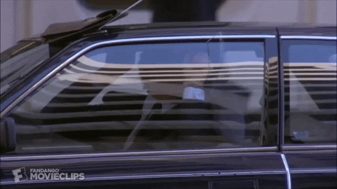 eilatankcirdnek giphygifmaker defending your life series of bad decisions locked in the car GIF