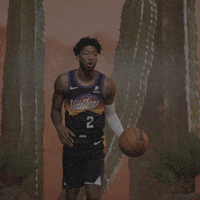 The Valley Sport GIF by Phoenix Suns