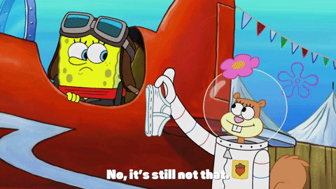season 9 episode 24 GIF by SpongeBob SquarePants