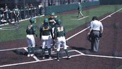 North Dakota State Softball GIF by NDSU Athletics