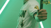 Bat Bison GIF by NDSU Athletics