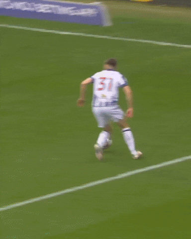 West Brom Wba GIF by West Bromwich Albion