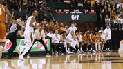 March Madness Sport GIF by Baylor Athletics